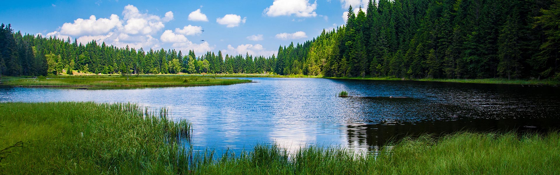 Sürdürülebilirlik